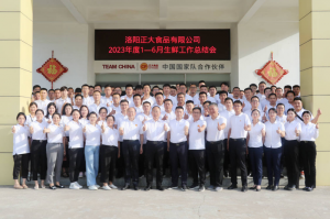 總結(jié)過去，計劃未來，協(xié)同創(chuàng)新，再創(chuàng)佳績！洛陽正大舉行2023年上半年工作總結(jié)會議